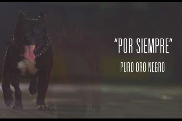 El Prieto presenta “Por siempre”, su nuevo videoclip